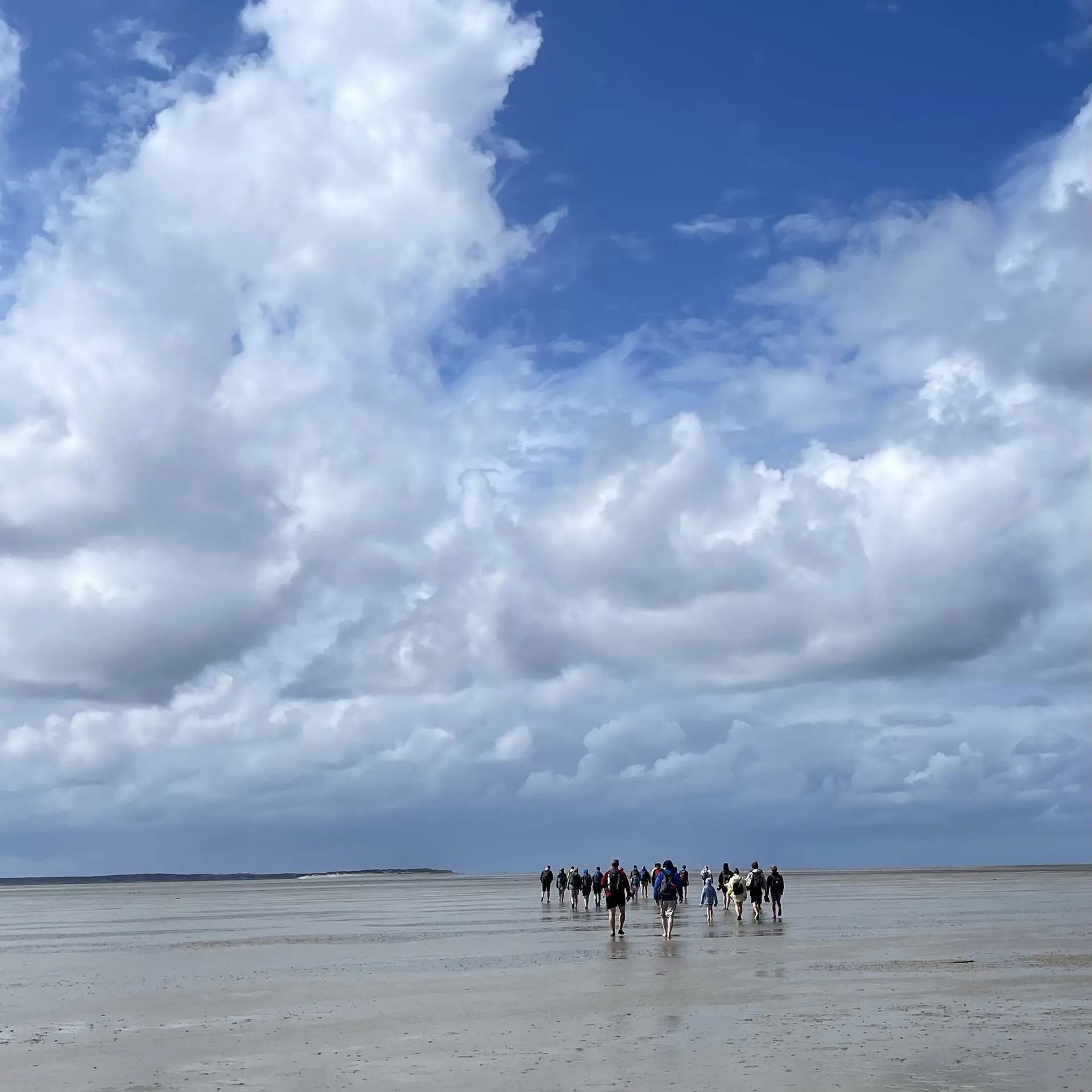 Wattwanderung + Wattführung nach Amrum